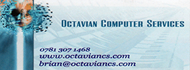 Octavian Computer Services Business Card